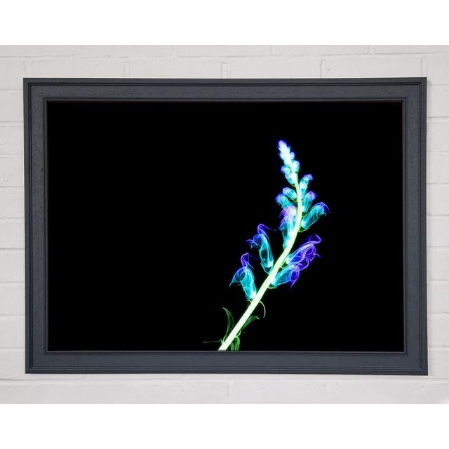 X-Ray Purple - Single Picture Frame Print Ebern Designs Size: 84.1cm H x 118.9cm W x 3.3cm D, Format: Dark Grey Framed Canvas on Productcaster.