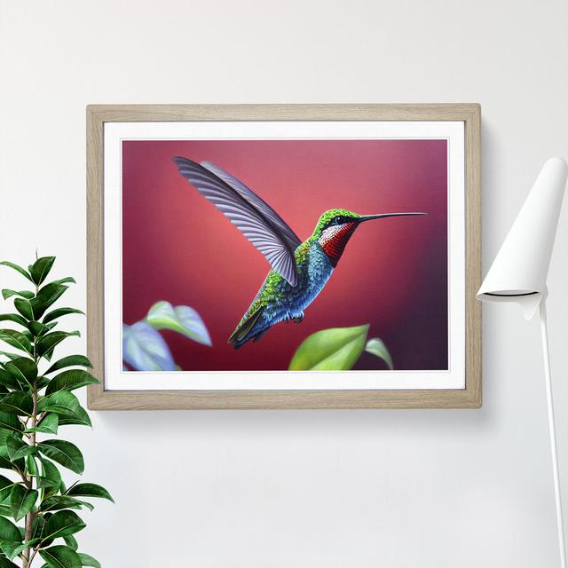 Charming Hummingbird - Picture Frame Photograph Ebern Designs Size: 46cm H x 64cm W x 2cm D, Frame Colour: Oak on Productcaster.