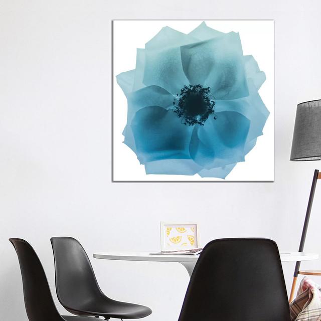 Rose Petal Blues II by Albert Koetsier - Wrapped Canvas Print Ebern Designs Size: 93.98cm H x 93.98cm W x 3.81cm D on Productcaster.