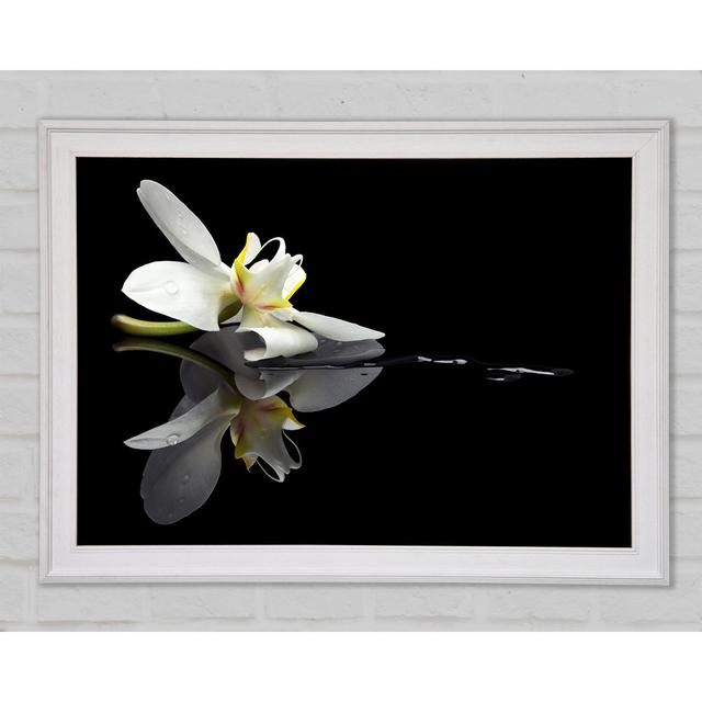 Orchid On Black - Single Picture Frame Art Prints Brayden Studio Format: White Framed Paper, Size: 42cm H x 59.7cm W x 1.5cm D on Productcaster.