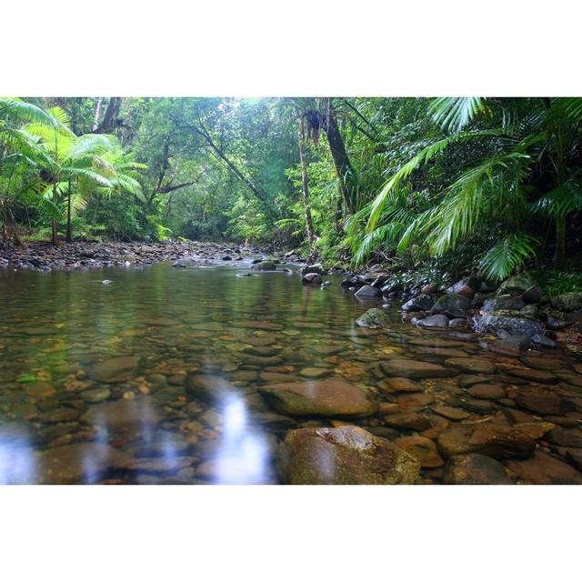 Daintree Creek by Czardases - Wrapped Canvas Photograph Alpen Home Size: 61cm H x 91cm W on Productcaster.