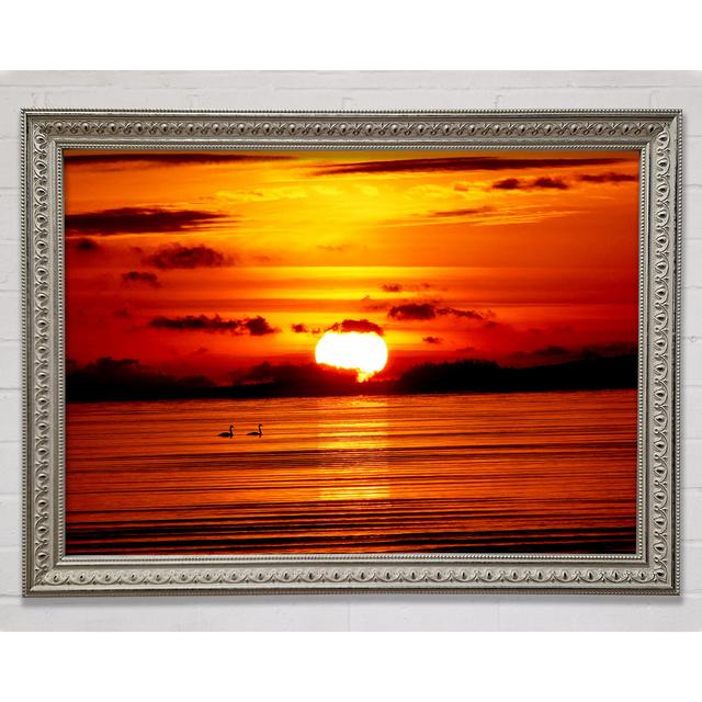 Swans On The Orange Ocean Reflection Framed Print Bright Star Size: 42cm H x 59.7cm W on Productcaster.