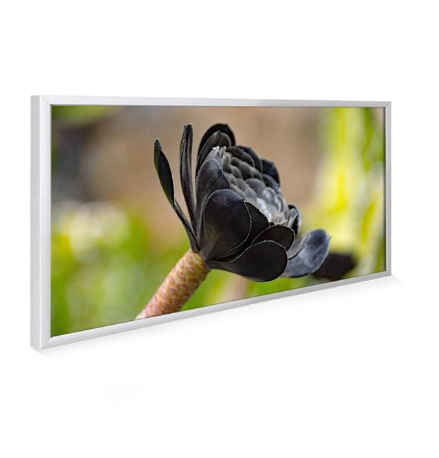 Exotic Bloom Picture Infrared Wi-Fi + Remote Flat Heating Panel Radiator 900W Mirrorstone Colour: Black, Size: 59.5cm H x 119.5cm W x 2.2cm D on Productcaster.