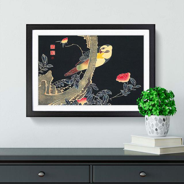 Parrot and Rose Bush by Ito Jakuchu - Picture Frame Painting Print East Urban Home Size: 27cm H x 36cm W x 2cm D, Frame Option: Black Framed on Productcaster.