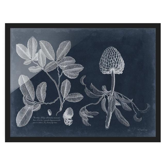 Foliage Dark Blue - Cinnamon Apple - Picture Frame Graphic Art August Grove Frame Option: Black Framed, Size: 30cm H x 40cm W x 2cm D on Productcaster.