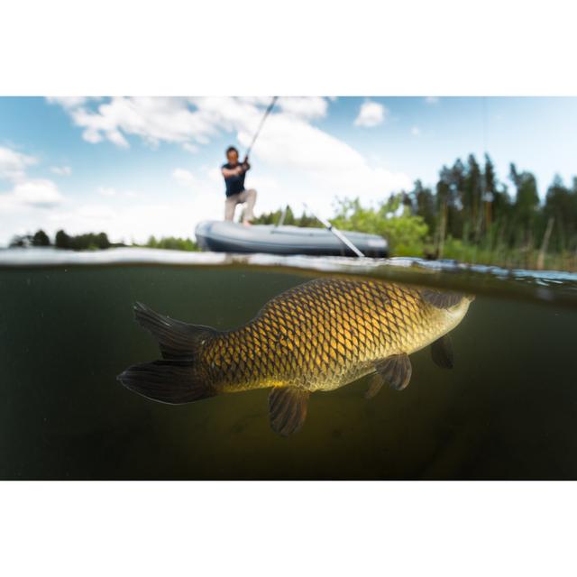 Carp Fishing by Mihtiander - Wrapped Canvas Photograph Breakwater Bay Size: 30cm H x 46cm W on Productcaster.