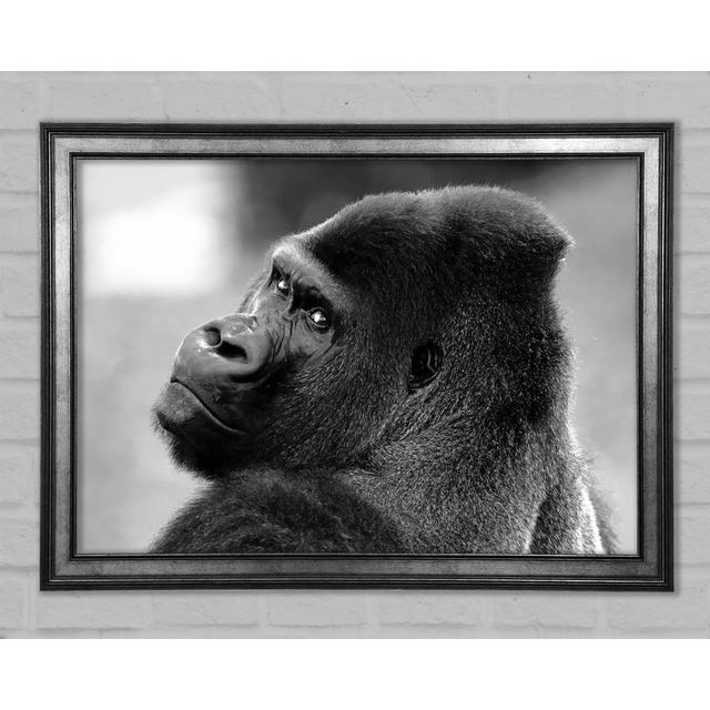 Gorilla Face - Single Picture Frame Art Prints Ebern Designs Size: 29.7cm H x 42cm W x 1.5cm D on Productcaster.