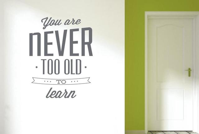 You Are Never Too Old To Learn Wall Sticker East Urban Home Size: Large, Colour: Grey on Productcaster.