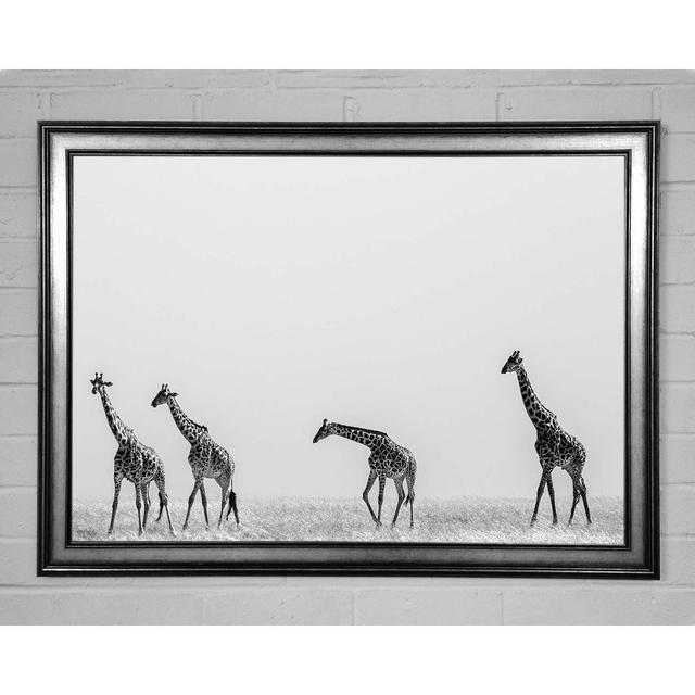 Giraffe Safari Lineup Framed Print Ophelia & Co. Size: 29.7cm H x 42cm W on Productcaster.