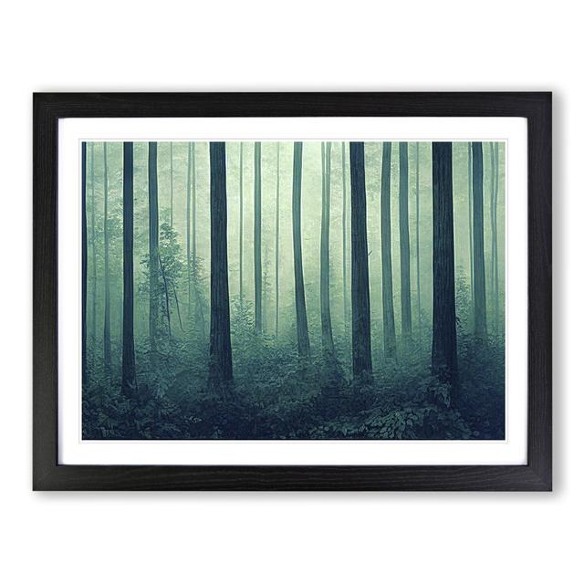 Soulful Forest - Picture Frame Graphic Art Alpen Home Frame Colour: Black, Size: 46cm H x 64cm W x 2cm D on Productcaster.