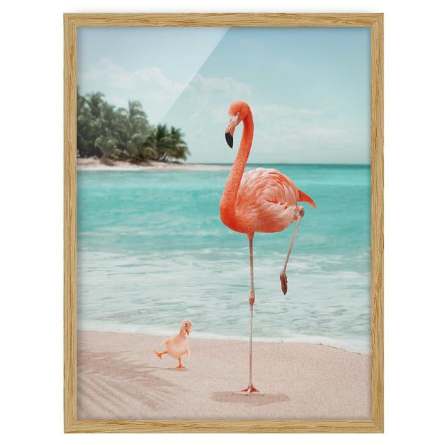 Beach with Flamingo - Picture Frame Photograph Bay Isle Home Size: 100cm H x 70cm W x 2cm D, Frame Option: Brown Framed on Productcaster.