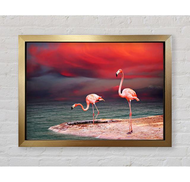 Pink Flamingo Ocean - Print Bright Star Size: 59.7cm H x 84.1cm W x 3.4cm D on Productcaster.