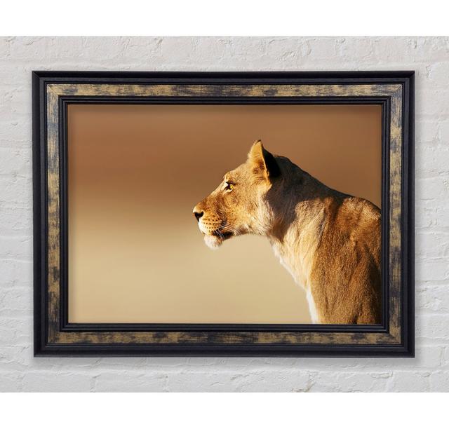 Lioness Wonder - Print Brayden Studio Format: Silver Framed Paper, Size: 100cm H x 141.4cm W x 3.4cm D on Productcaster.