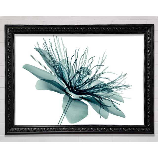 Single Picture Frame Art Prints Bright Star Size: 29.7cm H x 42cm W on Productcaster.