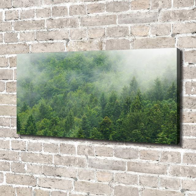 Mysterious Forest Wrapped Canvas - Art Prints Union Rustic Format: Glass, Size: 70cm H x 100cm W on Productcaster.