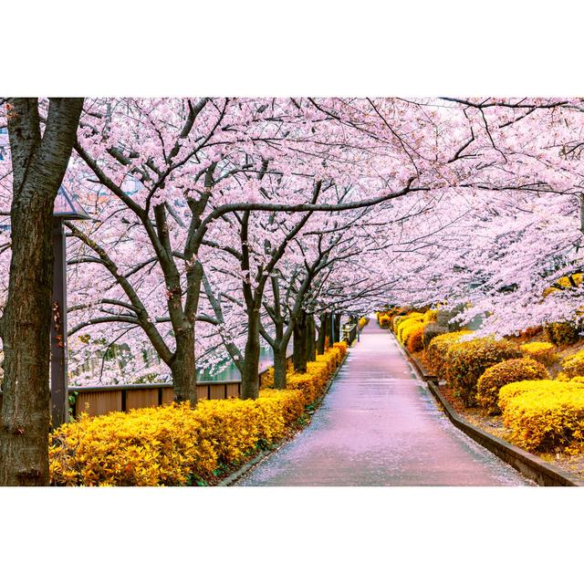 Walkway Under the Sakura Tree Which Is the Romantic Atmosphere Scene in Tokyo Japan - Wrapped Canvas Photograph Ebern Designs Size: 30cm H x 46cm W x on Productcaster.