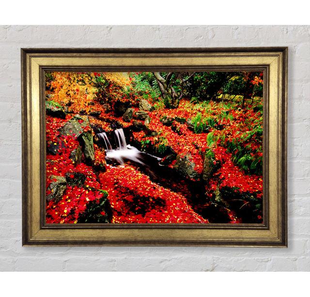 Single Picture Frame Art Prints Bright Star Size: 59.7cm H x 84.1cm W x 8cm D on Productcaster.