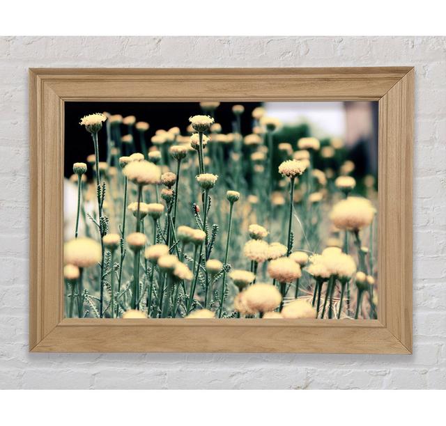 Poppy Stalks - Single Picture Frame Art Prints Bright Star Size: 59.7cm H x 84.1cm W x 8cm D on Productcaster.