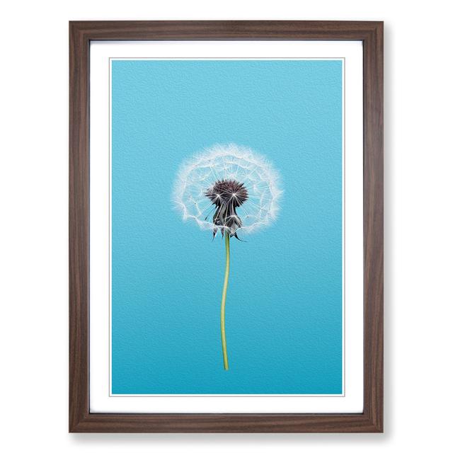 Dandelion Minimalism - Print Marlow Home Co. Format: Walnut Framed, Size: 64cm H x 46cm W on Productcaster.