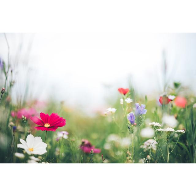 Meadow with Colorful Flowers - Wrapped Canvas Art Prints 17 Stories Size: 51cm H x 76cm W x 3.8cm D on Productcaster.