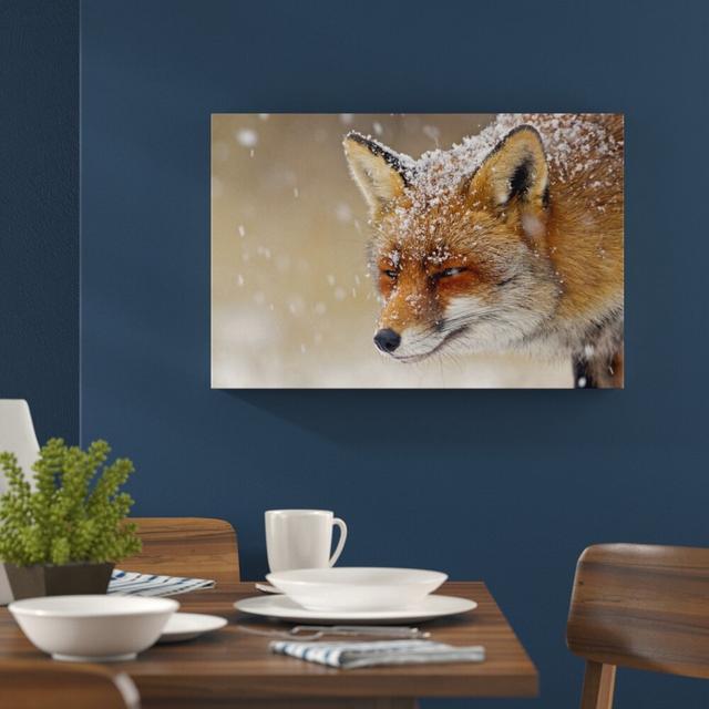 Leinwandbild ,,Fuchs im Schnee", Fotodruck East Urban Home Größe: 60 cm H x 80 cm B on Productcaster.