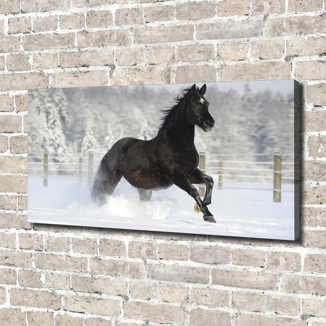 A Horse Galloping in the Snow - Unframed Art Prints on Canvas Gracie Oaks on Productcaster.