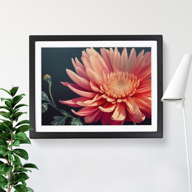 Timeless Chrysanthemum Flower - Single Picture Frame Print Marlow Home Co. Size: 46cm H x 64cm W x 2cm D, Frame Colour: Black Framed on Productcaster.