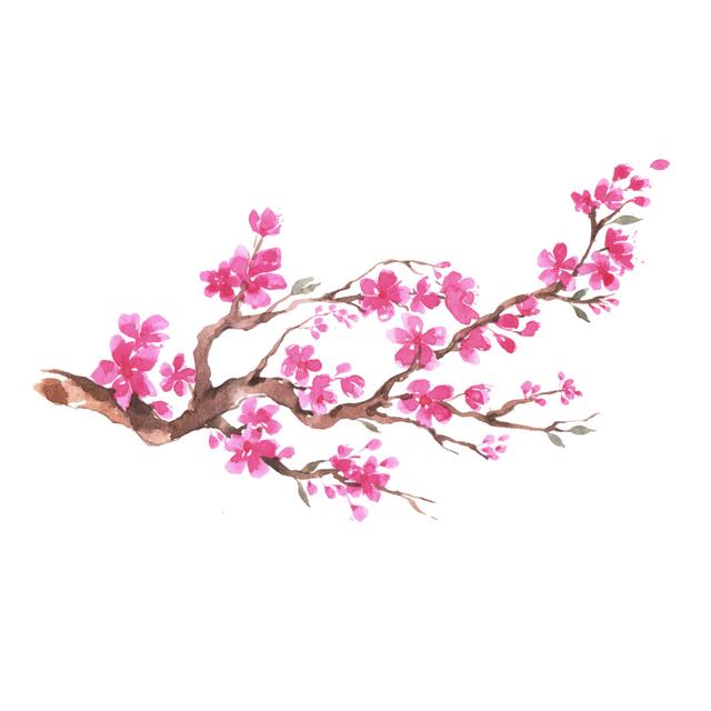 Branch of Cherry Blossom - Wrapped Canvas Photograph Rosalind Wheeler Size: 30cm H x 30cm W on Productcaster.