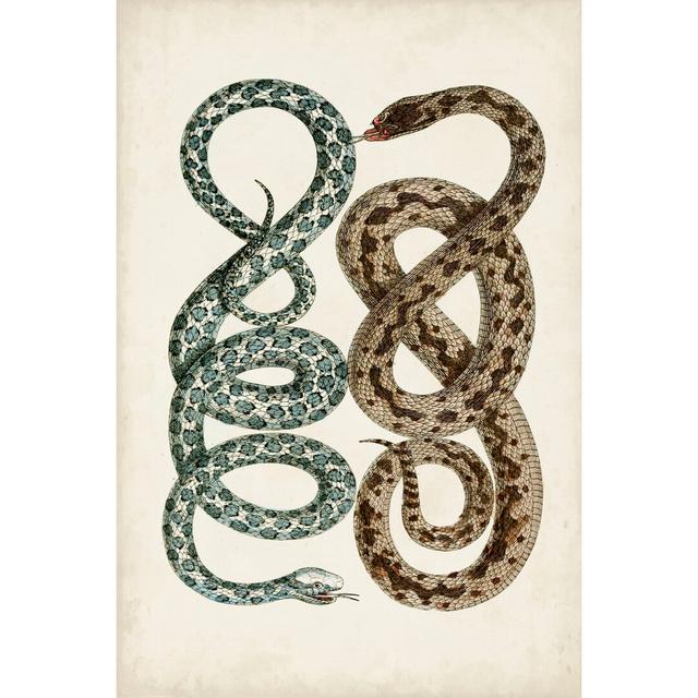 Antique Snakes IV - Wrapped Canvas Painting Rosalind Wheeler Size: 76cm H x 51cm W x 3.8cm D on Productcaster.