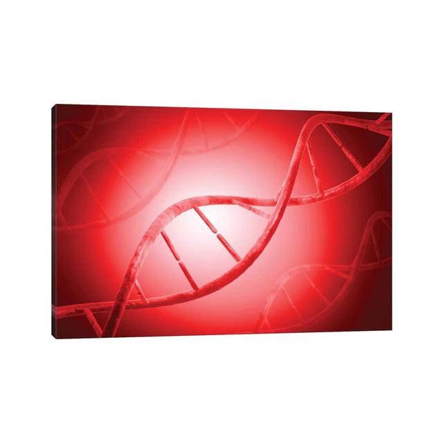 Conceptual Image of DNA IV by Stocktrek Images - Wrapped Canvas Photograph Happy Larry Size: 45.72cm H x 66.04cm W x 3.81cm D on Productcaster.