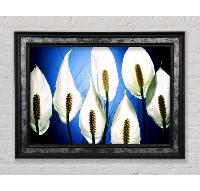 White March - Single Picture Frame Art Prints Bright Star Size: 59.7cm H x 84.1cm W x 8cm D on Productcaster.