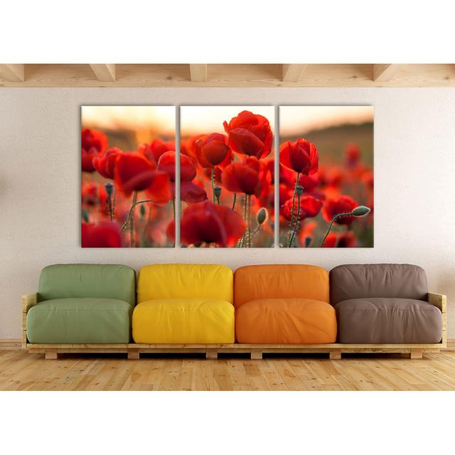 Fiery Poppy 3-Piece Photograph Set on Canvas East Urban Home Size: 120cm H x 240cm W on Productcaster.