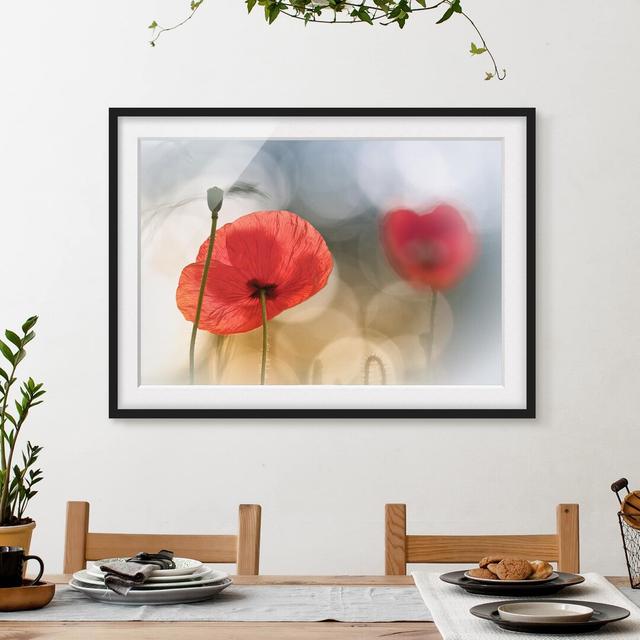 Gerahmtes Poster Poppies in the Morning East Urban Home Rahmen-Optionen: schwarz matt, Größe: 50 cm H x 70 cm B x 2 cm T on Productcaster.