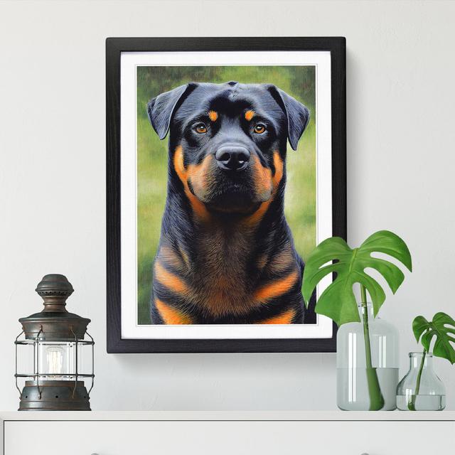 Rottweiler Painting Vol.1 - Print Big Box Art Frame Option: Walnut, Size: 34cm H x 25cm W x 2cm D on Productcaster.