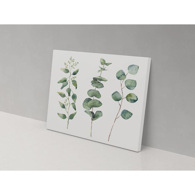 Branch Trio - Wrapped Canvas Graphic Art ClassicLiving Size: 67cm H x 102cm W x 4cm D on Productcaster.