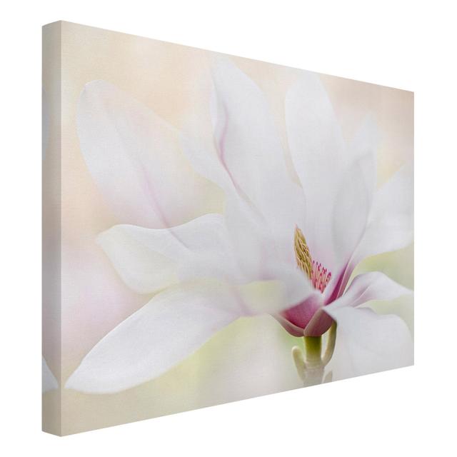 Delicate Magnolia Blossom - Wrapped Canvas Photograph Ebern Designs Frame Option: Pink, Format: 330g/m³ recycled canvas, Size: 60cm H x 80cm W on Productcaster.