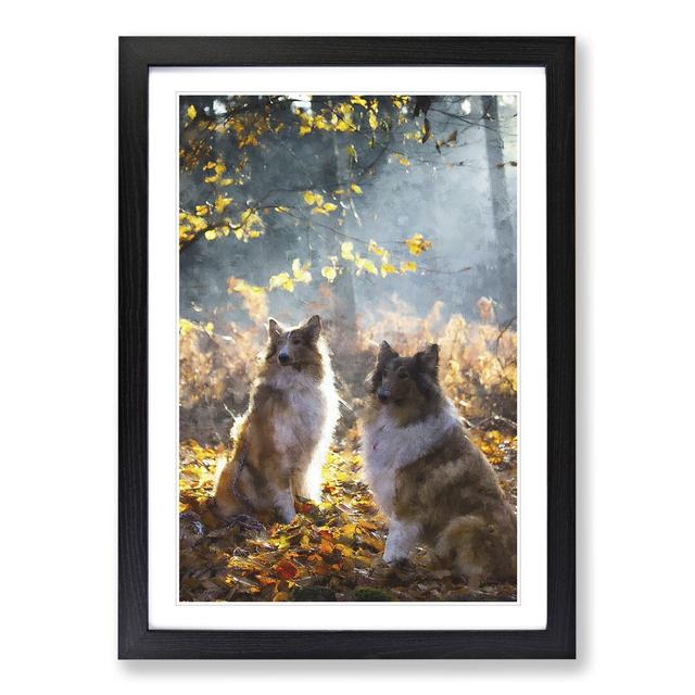 Two Rough Collie Dogs - Picture Frame Painting East Urban Home Frame Option: Black Framed, Size: 65cm H x 48cm W x 2cm D on Productcaster.