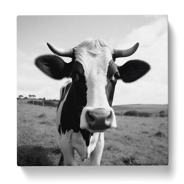 Cow Photograph - Art Prints Brambly Cottage on Productcaster.