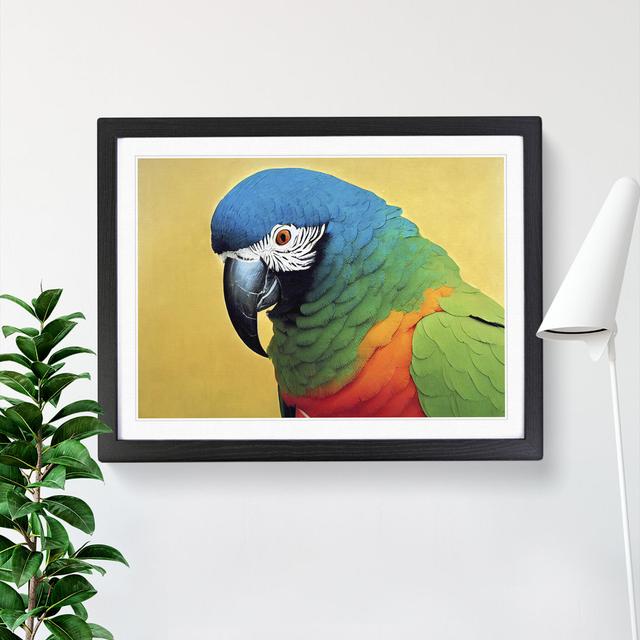 Vivid Parrot - Picture Frame Graphic Art Bay Isle Home Size: 34cm H x 46cm W, Frame Colour: Black on Productcaster.