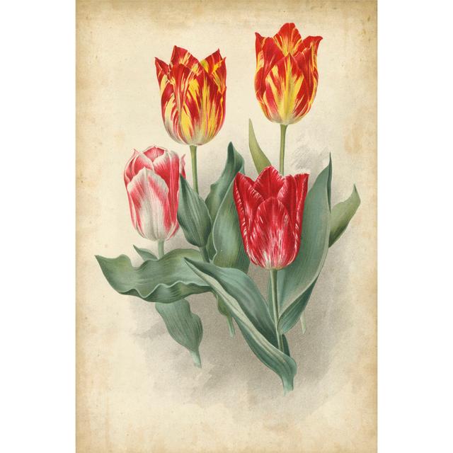 Tulip Florilegium - Unframed Painting on Canvas Marlow Home Co. Size: 46cm H x 30cm W x 3.8cm D on Productcaster.