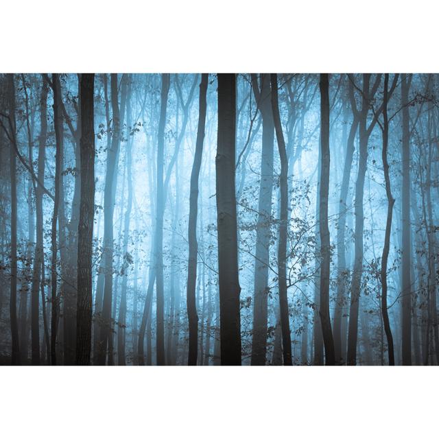 Dark Blue Spooky Forrest by Vkovalcik - Wrapped Canvas Photograph Alpen Home Size: 51cm H x 76cm W x 3.8cm D on Productcaster.