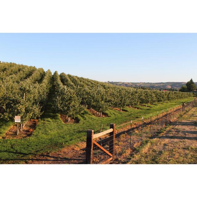 Dawn on a Farm by BehindTheLens - Wrapped Canvas Photograph August Grove Size: 20cm H x 30cm W x 3.8cm D on Productcaster.