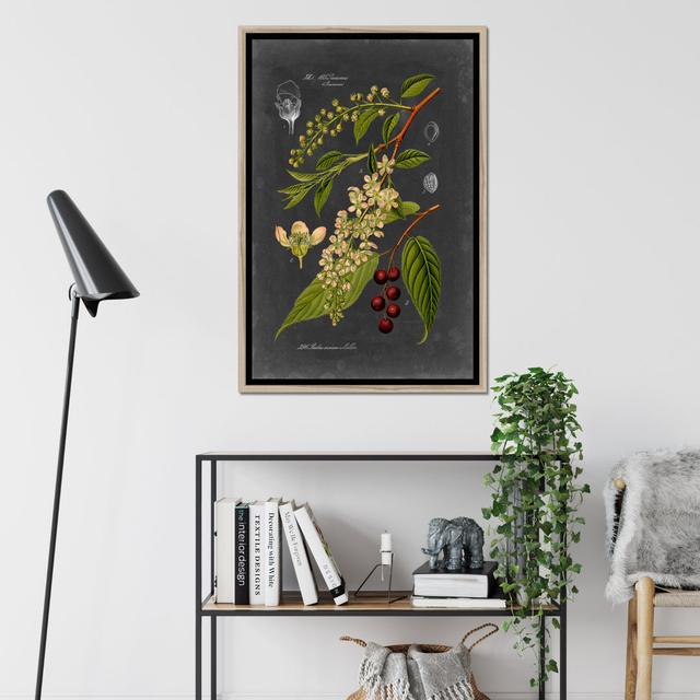 Midnight Botanical II by Vision Studio - Wrapped Canvas Graphic Art Print Brambly Cottage Size: 95cm H x 65cm W, Format: Natural Wood Framed Paper Pri on Productcaster.