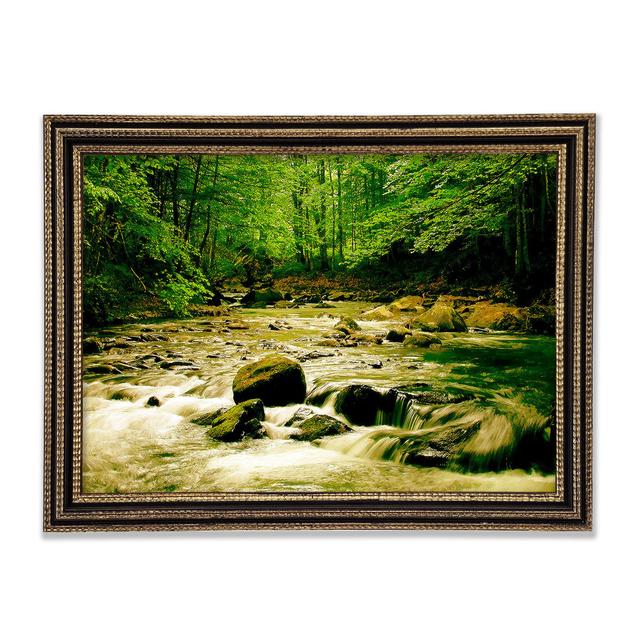 The Green River Forest - Single Picture Frame Print Alpen Home Size: 59.7cm H x 84.1cm W x 3cm D, Format: Black/Gold Framed Paper on Productcaster.