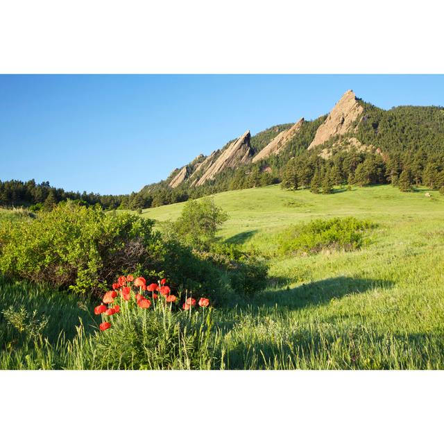 Boulder Colorado Flatirons by Beklaus - Print 17 Stories Size: 51cm H x 76cm W on Productcaster.