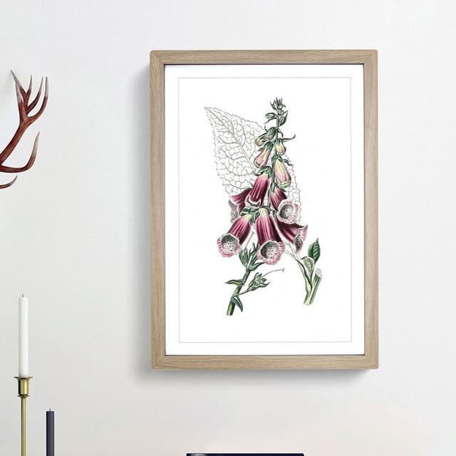 Foxglove Flowers Illustration - Picture Frame Painting Print East Urban Home Frame Option: Oak Framed, Size: 36cm H x 27cm W x 2cm D on Productcaster.