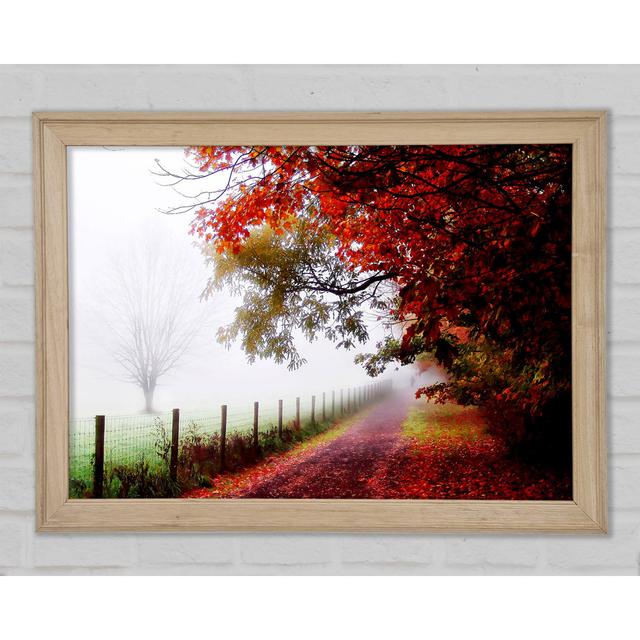 The Winter Path - Single Picture Frame Art Prints Ophelia & Co. Size: 59.7cm H x 84.1cm W x 1.5cm D on Productcaster.