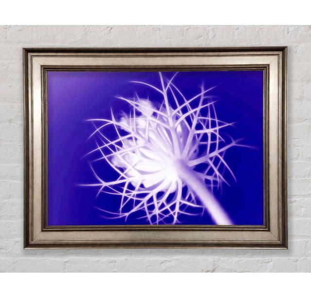 Purple Thorns Framed Print Brayden Studio Format: Antique Silver Framed Paper, Size: 29.7cm H x 42cm W x 8cm D on Productcaster.