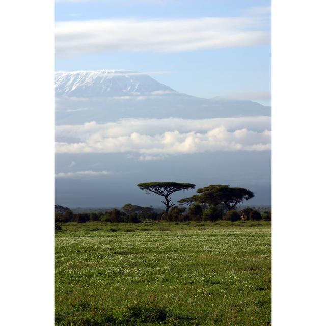 Grissett Kilimanjaro by Tuulimaa - Wrapped Canvas Art Prints Alpen Home Size: 76cm H x 51cm W x 3.8cm D on Productcaster.