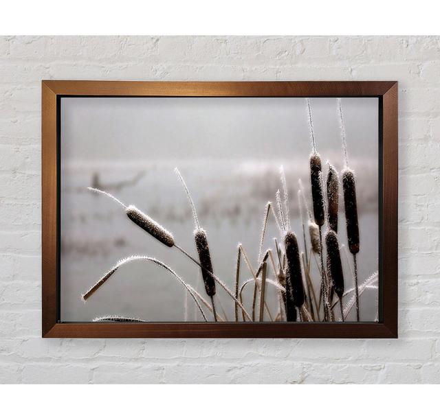 Single Picture Frame Art Prints 17 Stories Size: 84.1cm H x 118.9cm W on Productcaster.